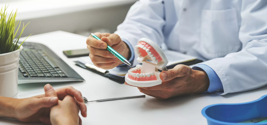 A dentist explaining dental care using a model of teeth during a patient consultation at the clinic.